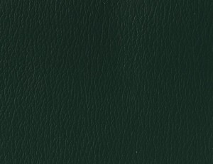 Naugahyde Vinyl - Forest